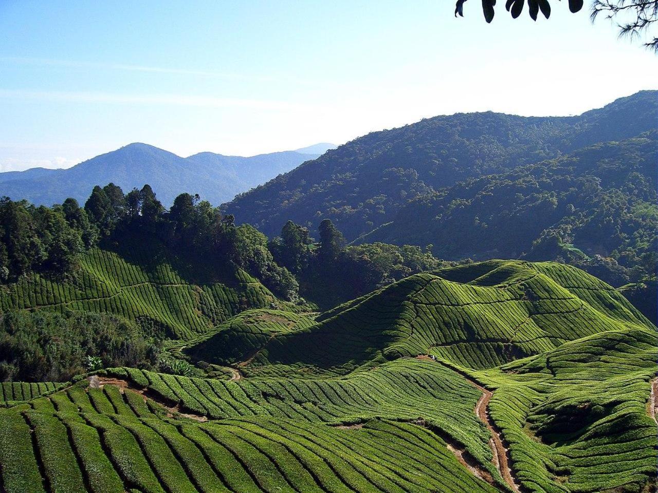 Cameron Kea Farm Hotel Brinchang Esterno foto
